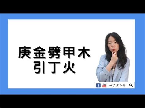 庚金甲木 白金準